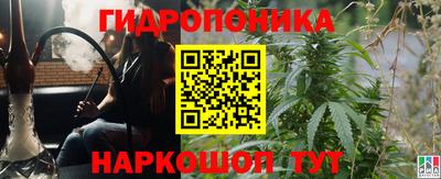 молекула духа Кингисепп