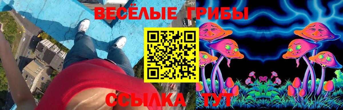 Алапаевск  Псилоцибиновые грибы GOLDEN TEACHER  Вход с VPN 